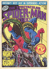 Cover for The Spectacular Spider-Man Weekly (Marvel UK, 1979 series) #359