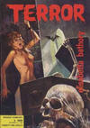 Cover for Terror (Ediperiodici, 1969 series) #28