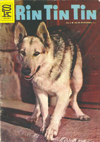 Cover Thumbnail for Rin Tin Tin (Sarjakustannus Oy, 1963 series) #6/1963