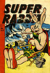 Cover for Super Rabbit (Bell Features, 1948 ? series) #13