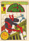 Cover for Spider-Man and Hulk Weekly (Marvel UK, 1980 series) #441