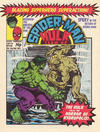 Cover for Spider-Man and Hulk Weekly (Marvel UK, 1980 series) #436