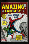 Cover for Amazing Fantasy [Old Navy Edition] (Marvel, 2009 series) #15
