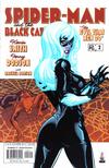 Cover for Spider-Man / Black Cat: The Evil That Men Do (Marvel, 2002 series) #2
