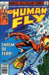 Cover Thumbnail for The Human Fly (1977 series) #13 [British]