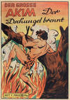 Cover for Der Große Akim (Norbert Hethke Verlag, 1991 series) #9