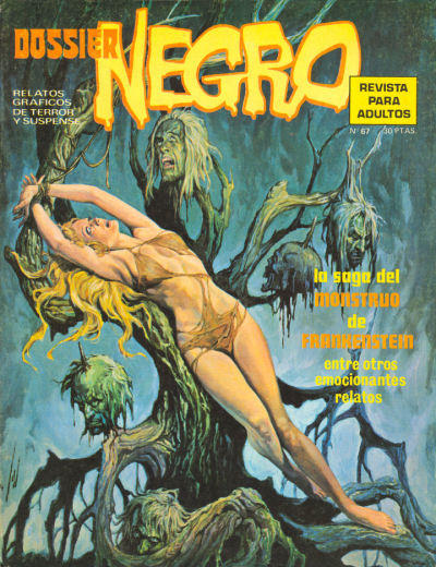 Cover for Dossier Negro (Ibero Mundial de ediciones, 1968 series) #67