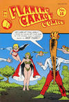 Cover for Flaming Carrot Comics (Renegade Press, 1985 series) #15 [Priced edition]