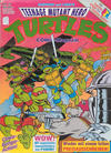 Cover for Teenage Mutant Hero Turtles (Condor, 1990 series) #29