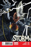 Cover for Storm (Marvel, 2014 series) #1 [Simone Bianchi Variant]