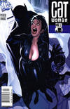 Cover Thumbnail for Catwoman (2002 series) #45 [Newsstand]