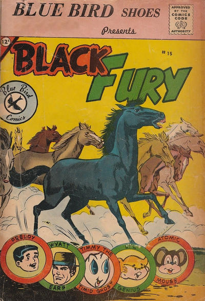 Cover for Black Fury (Charlton, 1959 series) #15 [Blue Bird]