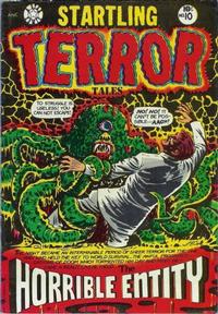 Cover for Startling Terror Tales (Star Publications, 1953 series) #10