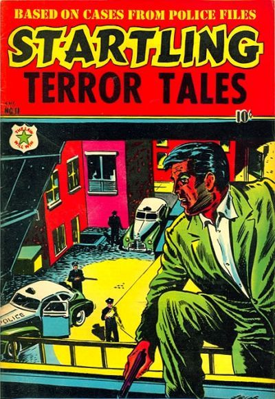 Cover for Startling Terror Tales (Star Publications, 1953 series) #11