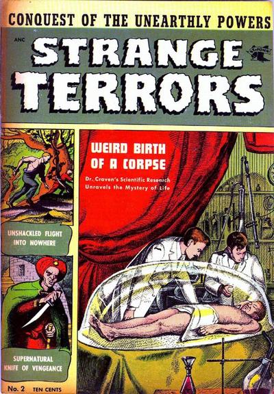 Cover for Strange Terrors (St. John, 1952 series) #2