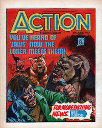 Cover Thumbnail for Action (IPC, 1976 series) #18 June 1977 [66]