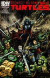 Cover Thumbnail for Teenage Mutant Ninja Turtles (2011 series) #12 [Cover B - Kevin Eastman Variant]