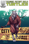 Cover for Teenage Mutant Ninja Turtles (IDW, 2011 series) #24 [Cover A - Mateus Santolouco]