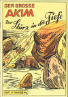 Cover for Der Große Akim (Norbert Hethke Verlag, 1991 series) #17