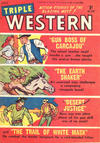 Cover for Triple Western Pictorial Monthly (Magazine Management, 1955 series) #20