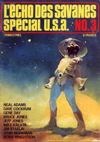 Cover Thumbnail for L'Écho des Savanes Spécial U.S.A. (Editions du Fromage, 1976 series) #3