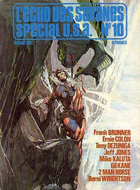 Cover Thumbnail for L'Écho des Savanes Spécial U.S.A. (Editions du Fromage, 1976 series) #10