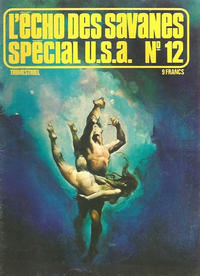 Cover Thumbnail for L'Écho des Savanes Spécial U.S.A. (Editions du Fromage, 1976 series) #12