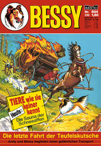 Cover Thumbnail for Bessy (Bastei Verlag, 1965 series) #804