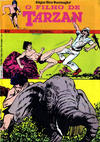 Cover for O Filho de Tarzan (Agência Portuguesa de Revistas, 1979 series) #5