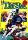 Cover for Tarzan (Agência Portuguesa de Revistas, 1979 series) #17