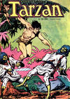 Cover for Tarzan (Agência Portuguesa de Revistas, 1979 series) #24