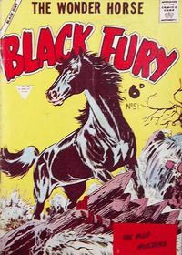 Cover Thumbnail for Black Fury (L. Miller & Son, 1957 series) #51