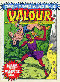 Cover Thumbnail for Valour (Marvel UK, 1980 series) #10