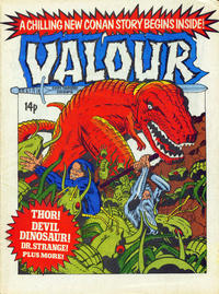 Cover Thumbnail for Valour (Marvel UK, 1980 series) #16