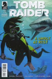 Cover Thumbnail for Tomb Raider (Dark Horse, 2014 series) #11