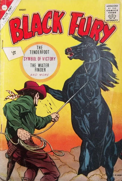 Cover for Black Fury (Charlton, 1955 series) #37 [British]