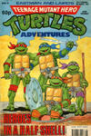 Cover for Teenage Mutant Hero Turtles Adventures (Fleetway Publications, 1990 series) #29