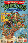 Cover for Teenage Mutant Hero Turtles Adventures (Fleetway Publications, 1990 series) #21
