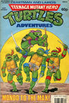 Cover for Teenage Mutant Hero Turtles Adventures (Fleetway Publications, 1990 series) #25